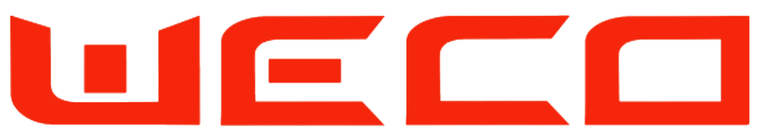 LG_Logo pp
